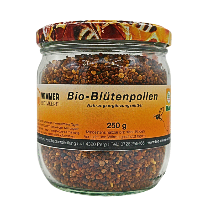 Design ohne Titel (3)